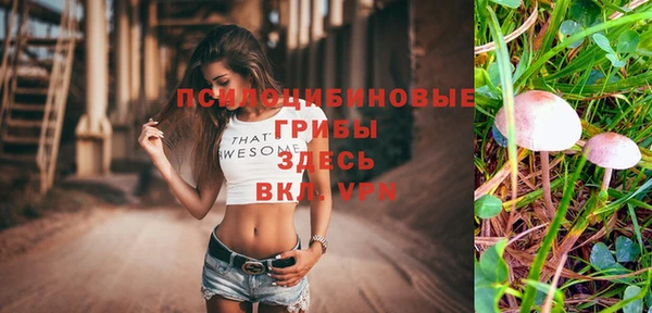 винт Бородино
