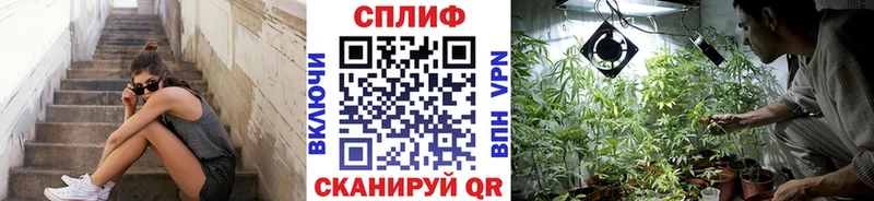 Купить где  Облучье  МАРИХУАНА ГИДРОПОН 